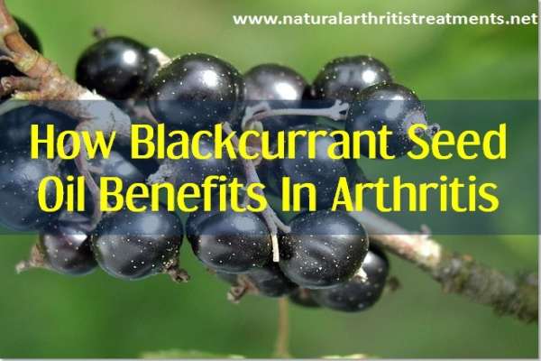 blackcurrant seed oil