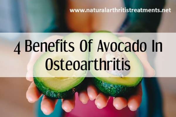 avocado for osteoarthritis
